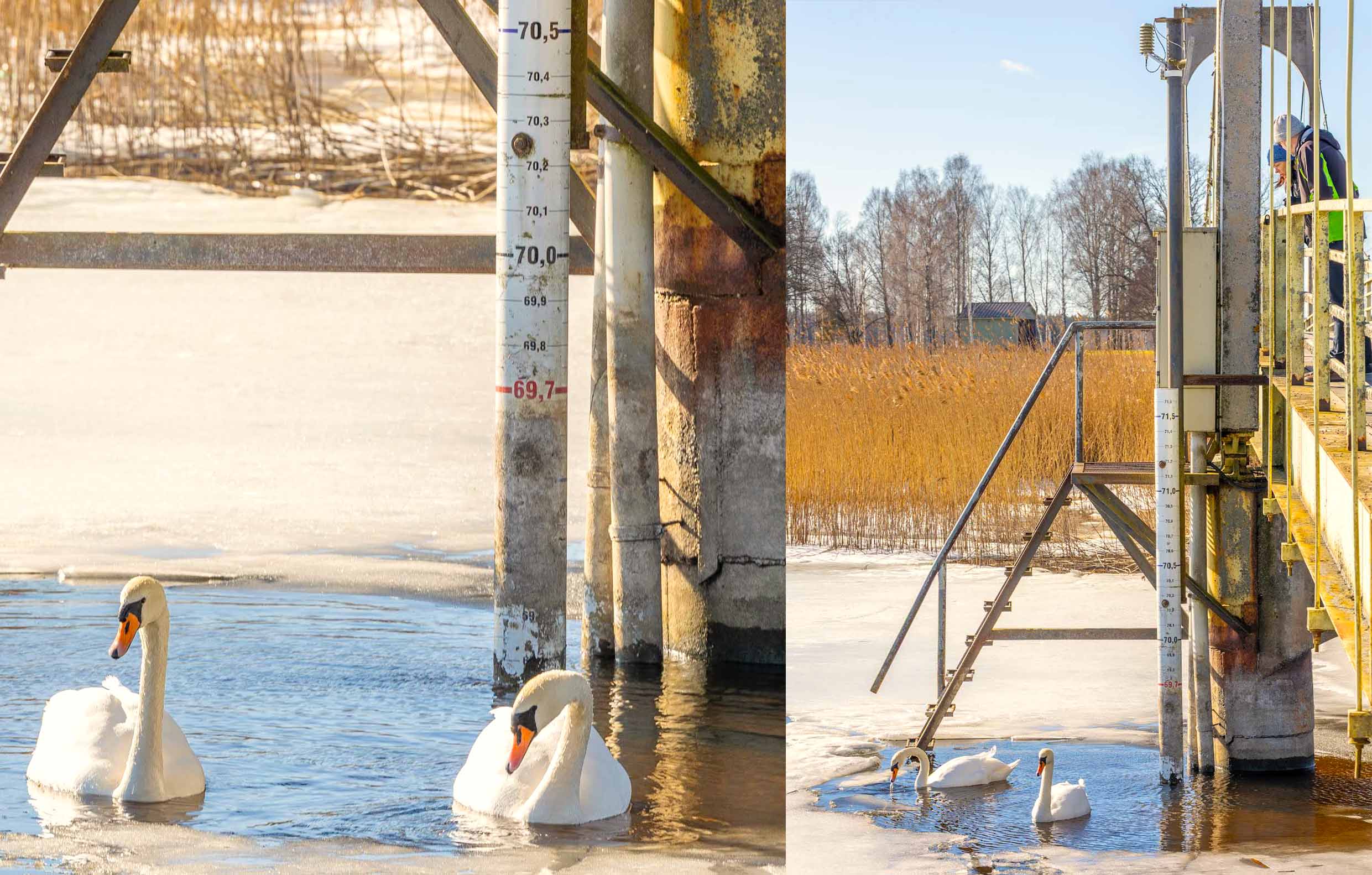 Olukorda, kus Tamula järve lumesulavesi ei mahu mööda Võhandu jõge ära voolama, praeguste prognooside kohaselt tekkimas ei ole. Foto: AIGAR NAGEL
